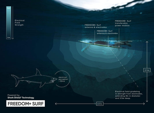 Pré-commande DISPOSITIF ANTI-REQUIN SHARK SHIELD FREEDOM+ Surf